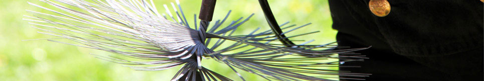 Banner - Sven Ulrich